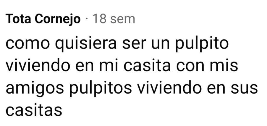 Con el Totita siempre hablábamos de lo maravilloso que sería reencarnar en otras especies, sin preocupaciones, solo existir y ser libres. Espero que en alguna vida nos podamos volver a encontrar y ser amiguitos nuevamente.