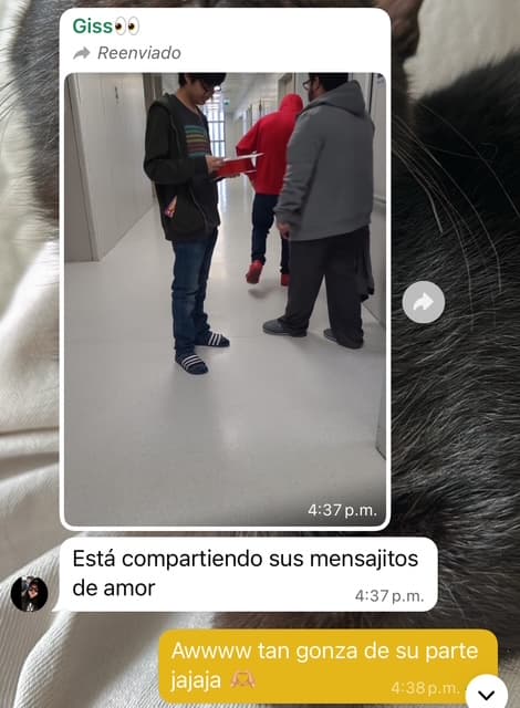 Esto te representa mucho, en tu peor momento decidimos enviarte mensajitos de amor y buenas energías y tú decidiste compartirlos con tus compañeros de piso 🤍